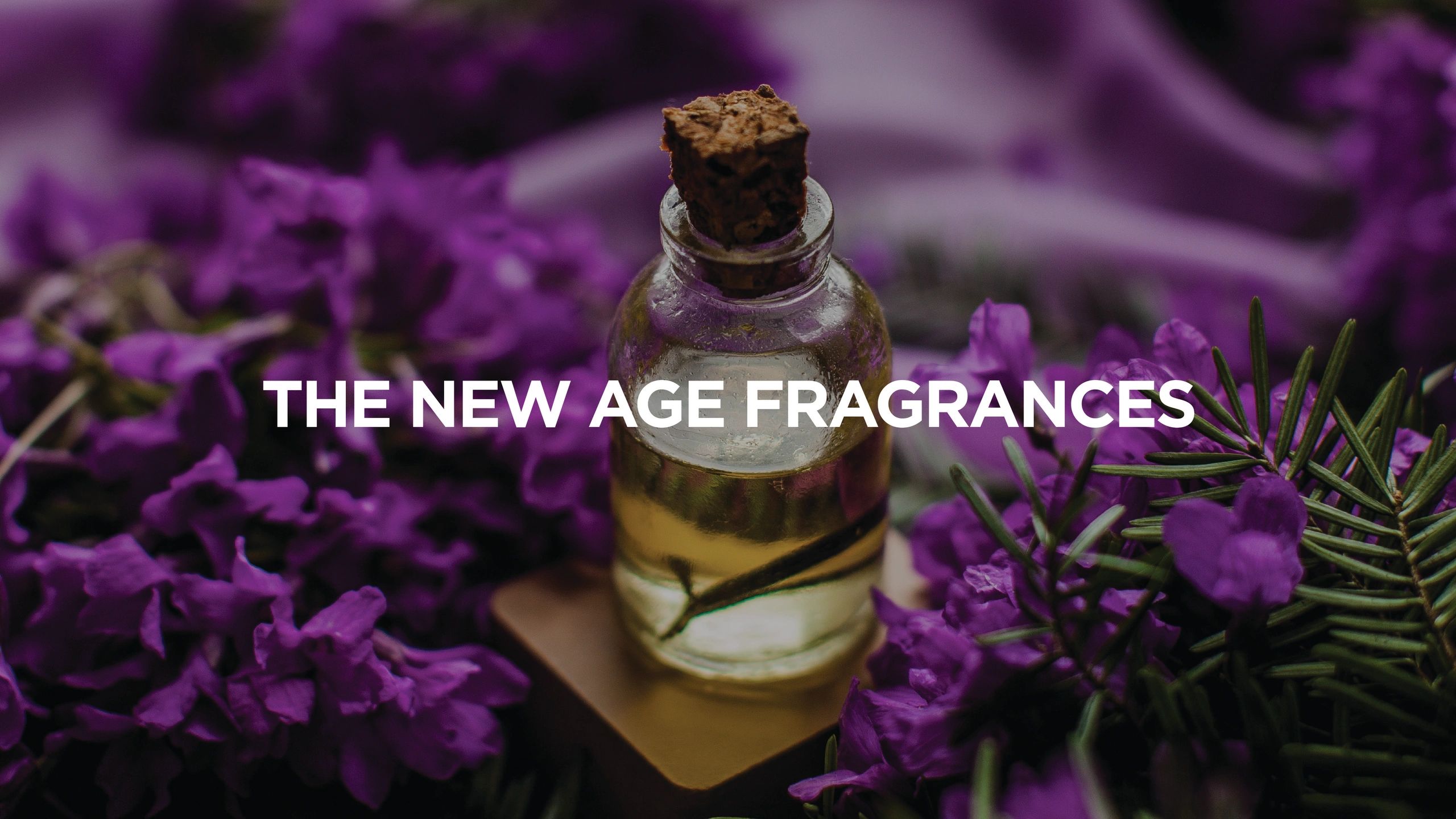 Parfum Field Dealers For Perfume Compound parfum-field-dealers-for-perfume-compound